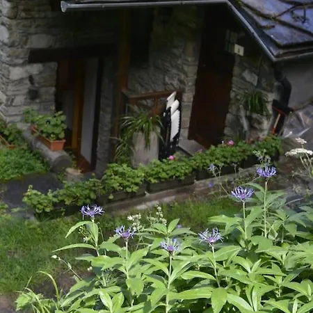 Evasion D'ermitage Apartment Courmayeur